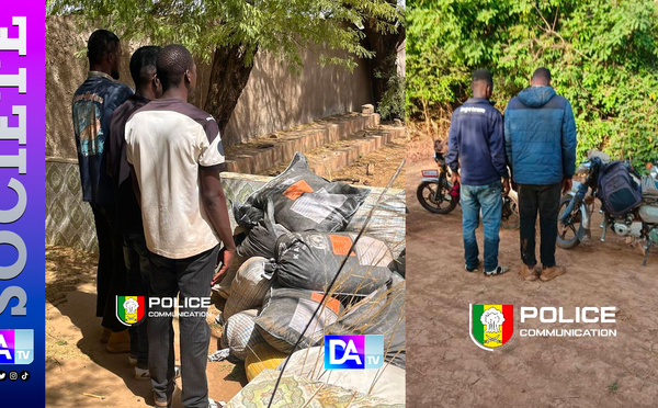 Kidira : 400 kg de cyanure saisis — un trafic toxique destiné à l’orpaillage clandestin démantelé