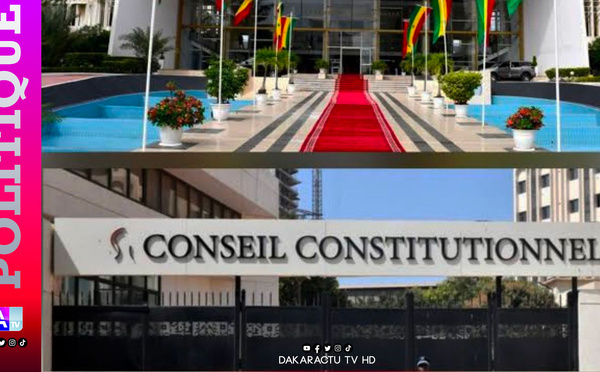 Adoption de la loi sur le CNRM : Le Conseil constitutionnel censure partiellement le texte