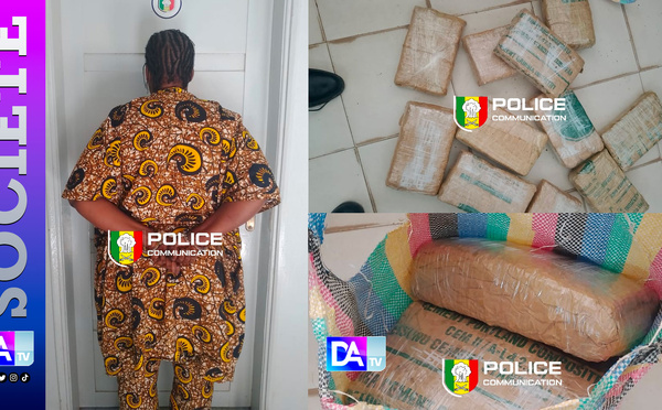 Sous couvert de mysticisme, 11 kg de drogue en route vers Dakar : la passagère trahie par son téléphone