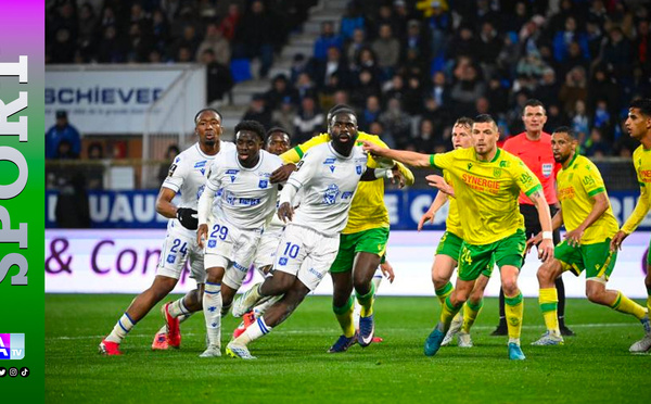 Ligue 1 : les résultats de la 29e journée