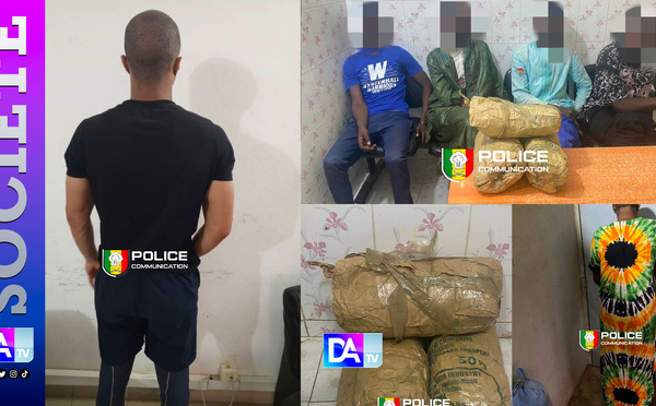 Chanvre, crack, tramadol : l’OCRTIS lance une traque nationale et démantèle plusieurs réseaux