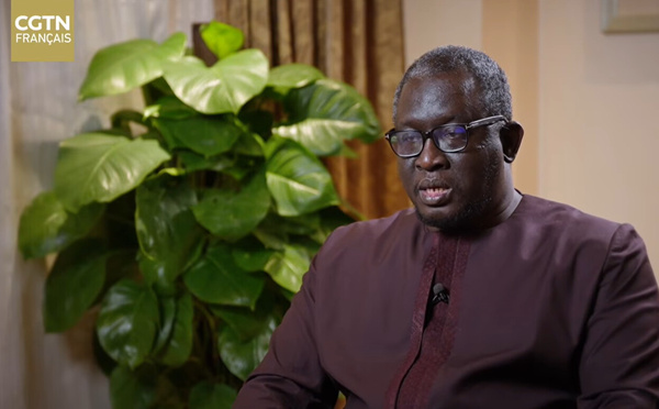 Daffé(Pastef): comment la gouvernance du PCC éclaire le Sénégal