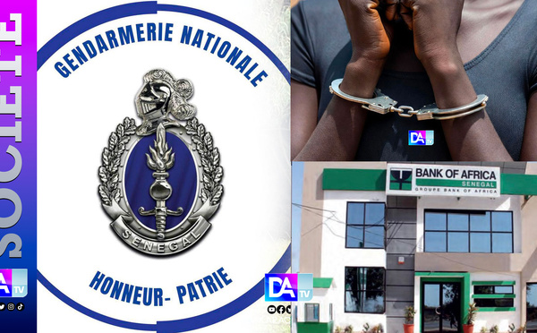 Escroquerie XXL à 48 millions FCFA : Comment « Aicha Plus » a trompé une banque avec de faux cachets de la Gendarmerie