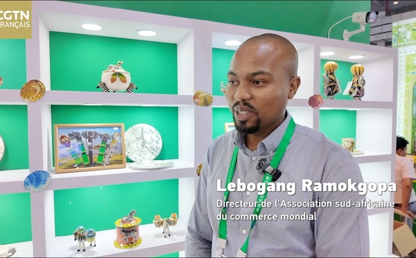 Chine-Afrique : Vers un nouvel âge d'or commercial grâce à la libéralisation des échanges ?