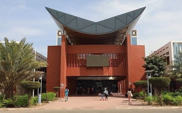 [ Contribution] Un siècle de construction du savoir, soixante ans d’institution : la Bibliothèque universitaire de Dakar en perspective
