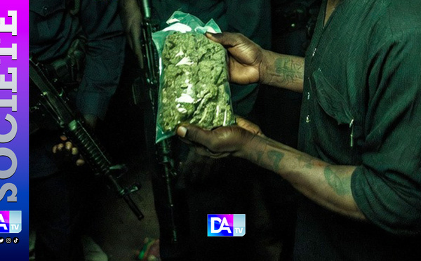 “Je suis fatigué” : à Sicap-Mbao, un dealer surprend la police en se livrant avec sa marchandise