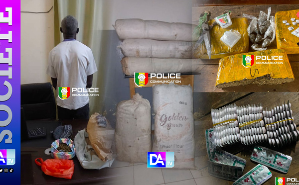 Chanvre indien, Tramadol, fuites et arrestations : l’OCRTIS frappe fort dans plusieurs régions du Sénégal