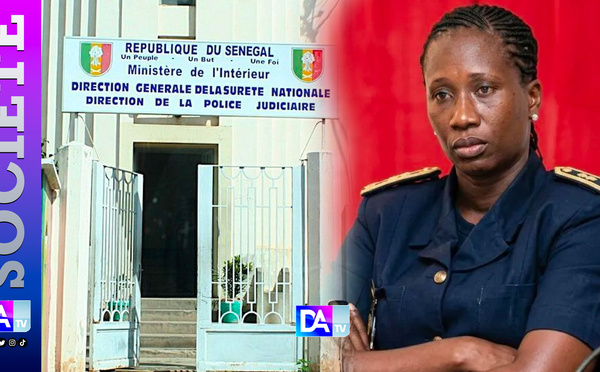 DIC : Mame Farma Ndiaye prend les commandes