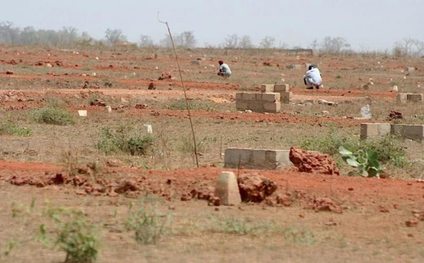 Linguère : un probable litige foncier entre Kamb et Warkhokh autour de 9 hectares, les populations réclament une délimitation claire