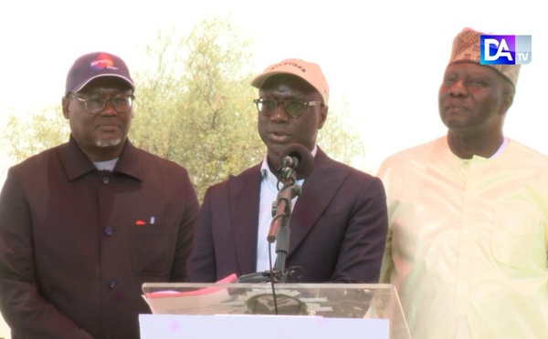 MBACKÉ - Kaël étrenne sa première ferme agrosylvopastorale .