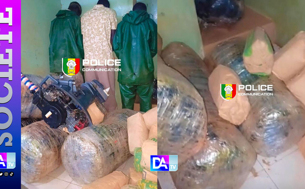 Rufisque/ Trafic de drogue par pirogue : près de 188 kg de chanvre indien saisis sur la plage, trois individus arrêtés