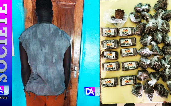 Lutte contre le trafic international de drogues: La Brigade commerciale des Douanes de Karang met la main sur 03,5 Kg de haschich