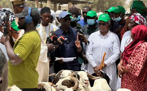 Tabaski 2026 à Dahra Djoloff : le défi du ministre Mabouba Diagne, « fournir 900.000 moutons pour compléter les 2 millions nécessaires »