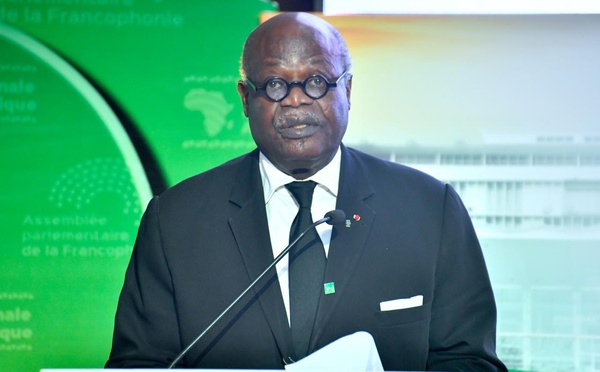 Assemblée parlementaire de la Francophonie à Dakar : Hilarion Etong plaide pour une sécurité collective pensée par les Africains