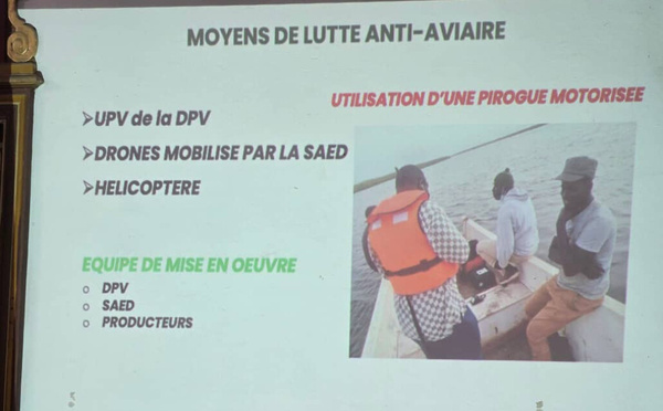 Saint-Louis : Les autorités préparent la campagne de lutte anti-aviaire 2026 dans la vallée du fleuve Sénégal