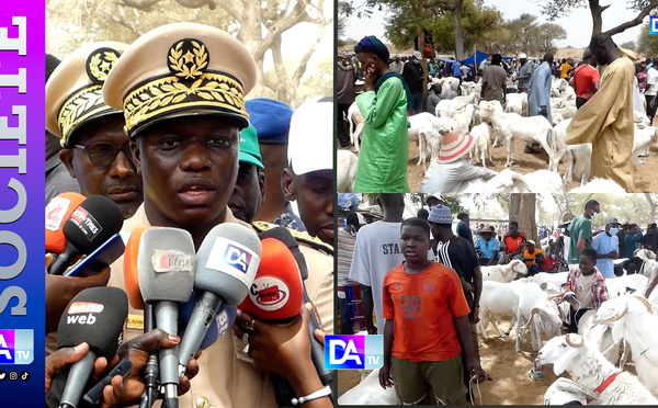 Thiès : 57.800 têtes de moutons enregistrées à 5 jours de la Tabaski dans les marchés à bétail de Séokhaye et Touba Toul...