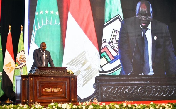 L'Université du Caire célèbre l'Afrique : Le Sénégal à l'honneur, représenté par son député Mbaye Dione