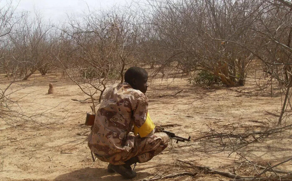 Mali: les autorités créent des «zones d’intérêt militaires» interdites aux civils dans près de 40 forêts