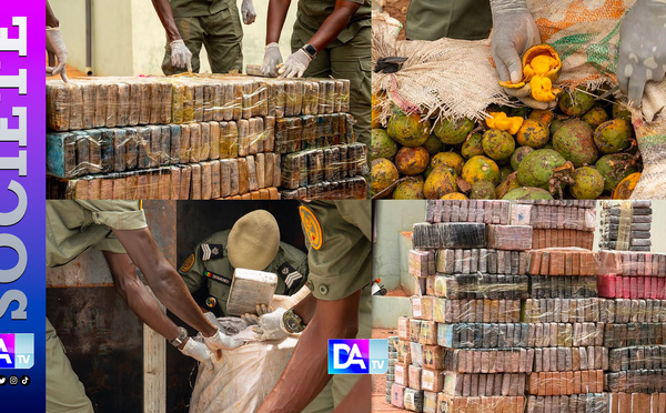 Trafic de drogue : La Brigade des Douanes de Koumpentoum saisit 970,6 kg de cocaïne pure évalués à 58 milliards CFA
