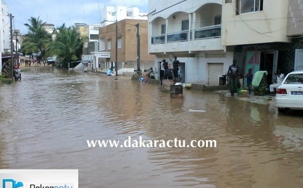 [ Contribution] : ​Dakar ne se noie pas par hasard ( Paul Sedar Ndiaye)
