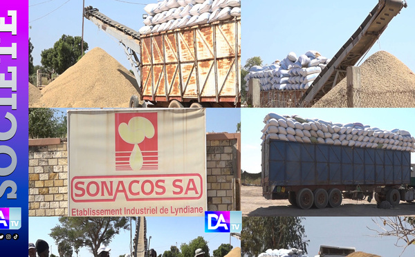 Urgence à la Sonacos : des usines à bout de souffle, 380 000 tonnes de graines menacées