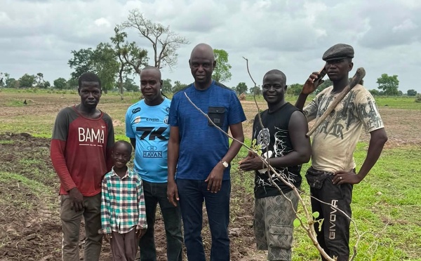 ‎‎VÉLINGARA (Kolda) : Mansour Faye (Maire/Saint-Louis) en campagne agricole invite le duo Diomaye-Sonko à s'occuper des urgences...