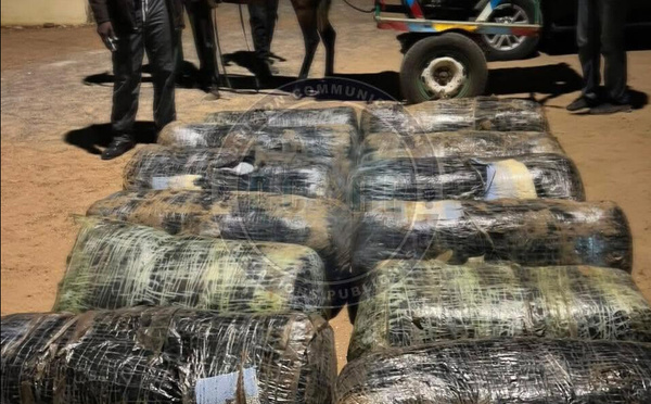 Lutte contre le trafic de drogue : 360 Kg de chanvre indien saisis à Joal