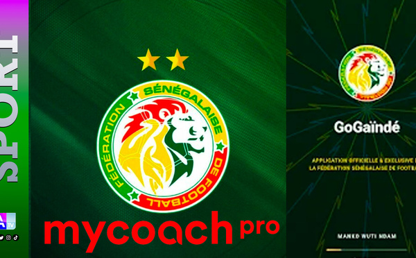 FSF / Contrats Go Gaindé, My Coach Pro et Tismo : Bamba Ba membre Comex réclame une révision immédiate de trois accords jugés opaques