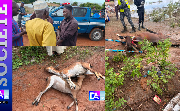 Fortes pluies à Latmingué : la victime perd aussi son cheval et ses chèvres (images)