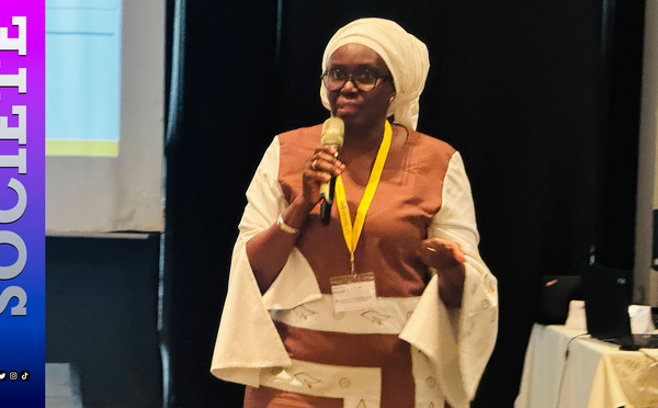 Stratégie minérale : le Sénégal cherche sa propre définition de la criticité