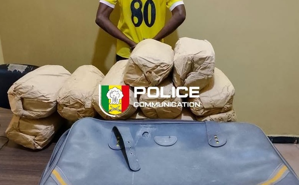 Ziguinchor : un individu interpellé avec 12 kilogrammes de chanvre indien