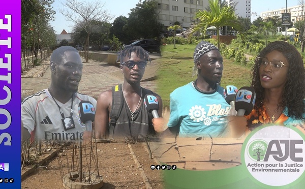 [Reportage] Disparition des espaces verts : une menace pour le cadre de vie?