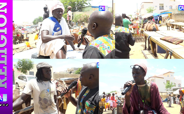 Grand Magal de Touba : entre embouteillages géants et foule immense, les charretiers tiennent la ville en mouvement
