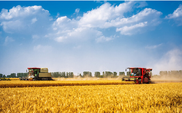 Plan quinquennal 2026-2030 pour l'agriculture : la sécurité alimentaire, un acquis à consolider