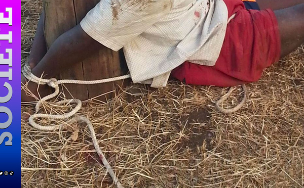 Kolda : surpris lors d’une tentative présumée de vol de bétail, Abdourahmane Ba ligoté puis violemment lynché