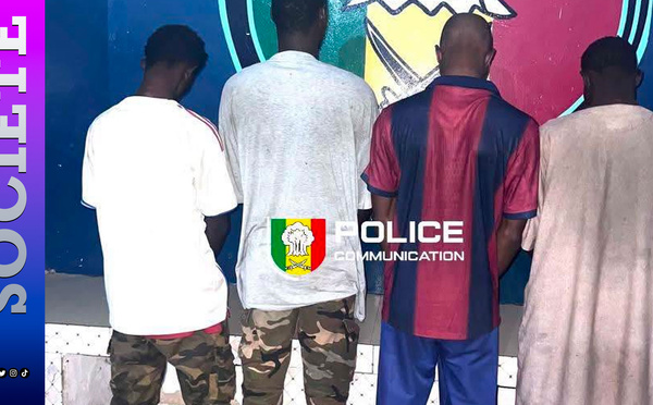 Touba : une plainte pour viol collectif, vidéos compromettantes et chantage sexuel conduit à plusieurs interpellations à Ndamatou