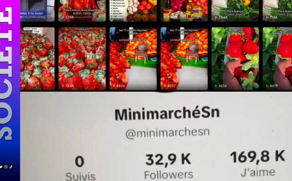 Arnaque aux « packs ravitaillement »  MinimarchéSn sur TikTok : 121 victimes et plus de 4,5 millions FCFA de préjudice recensés