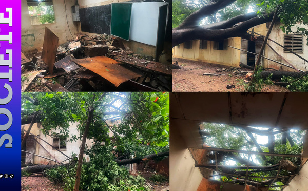 Fortes pluies à Thiès : un arbre s’effondre sur deux salles de classe au CEM Malick Sy au moment où les candidats au CREM débutent les épreuves… Une blessée enregistrée