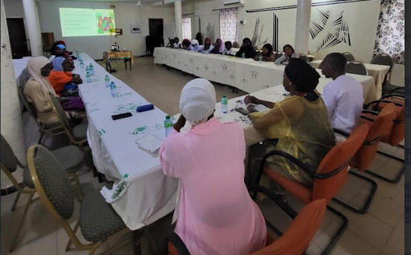 KOLDA : Les clubs de jeunes filles leaders s'élèvent contre les violences basées sur le genre et les stéréotypes…