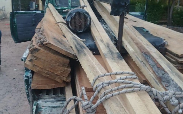 ‎Lutte contre le trafic illicite de bois à Vélingara : Le service des eaux et forêts saisit  7 machines de sciage,15 billons de bois de kapokier...