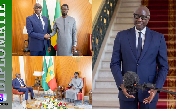 CEDEAO/ ECO, terrorisme, libre circulation : Bassirou Diomaye Faye et Biram Diop passent en revue les grands chantiers, de l’ECO à la lutte antiterroriste