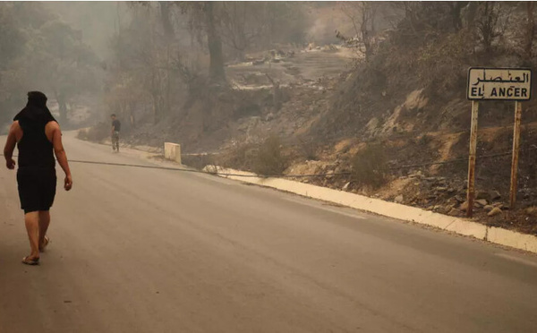 Incendies en Algérie: les autorités déclarent trois jours de deuil national