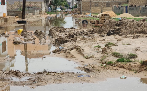 Inondations et enclavement des cités Oasis, Port, Air France et Darou Thioub : le Comité local de développement tire la sonnette d’alarme