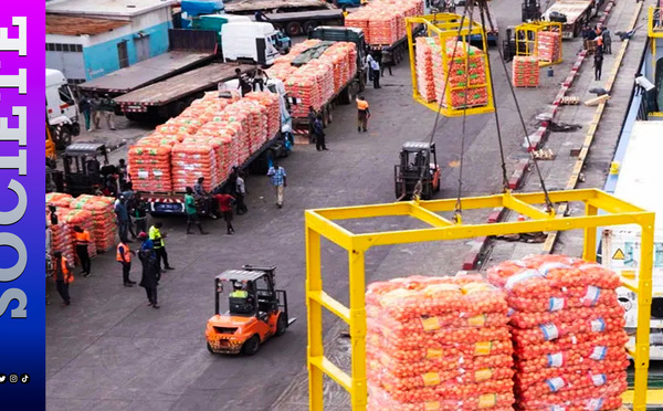 Oignons , Approvisionnement et stabilité des prix : le gouvernement Sénégalais lève officiellement le gel des importations à partir de ce 31 août après plus de sept mois de régulation