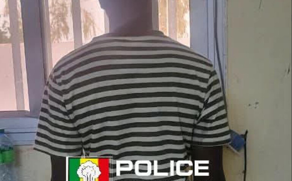 Kaolack: Interpellation d’un individu pour injures publiques, abus de confiance et escroquerie portant sur un préjudice total de 114.195.000 Francs CFA.