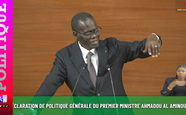 Al Aminou Lo sur la souveraineté énergétique : « Le gaz doit rester au cœur de la stratégie »