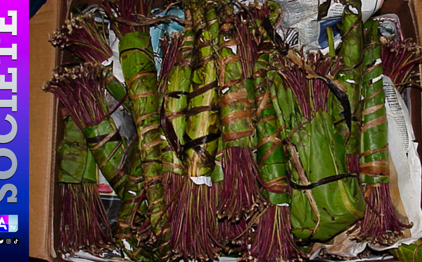 Trafic international de khat : 34 kg saisis à Karang, un présumé complice de Moustapha Fichoulou arrêté