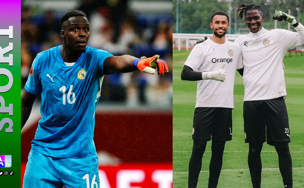 Après Édouard Mendy, qui gardera les buts des Lions ? Trois profils dans la balance