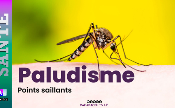 Paludisme : les décès reculent au Sénégal, mais le financement de l’élimination reste à trouver