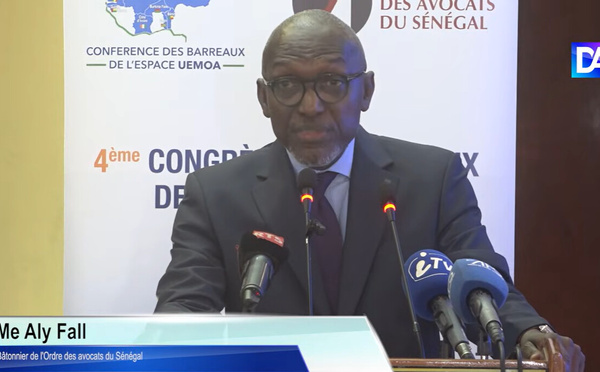 Me Aly Fall aux avocats : « Anticipons les changements à venir »